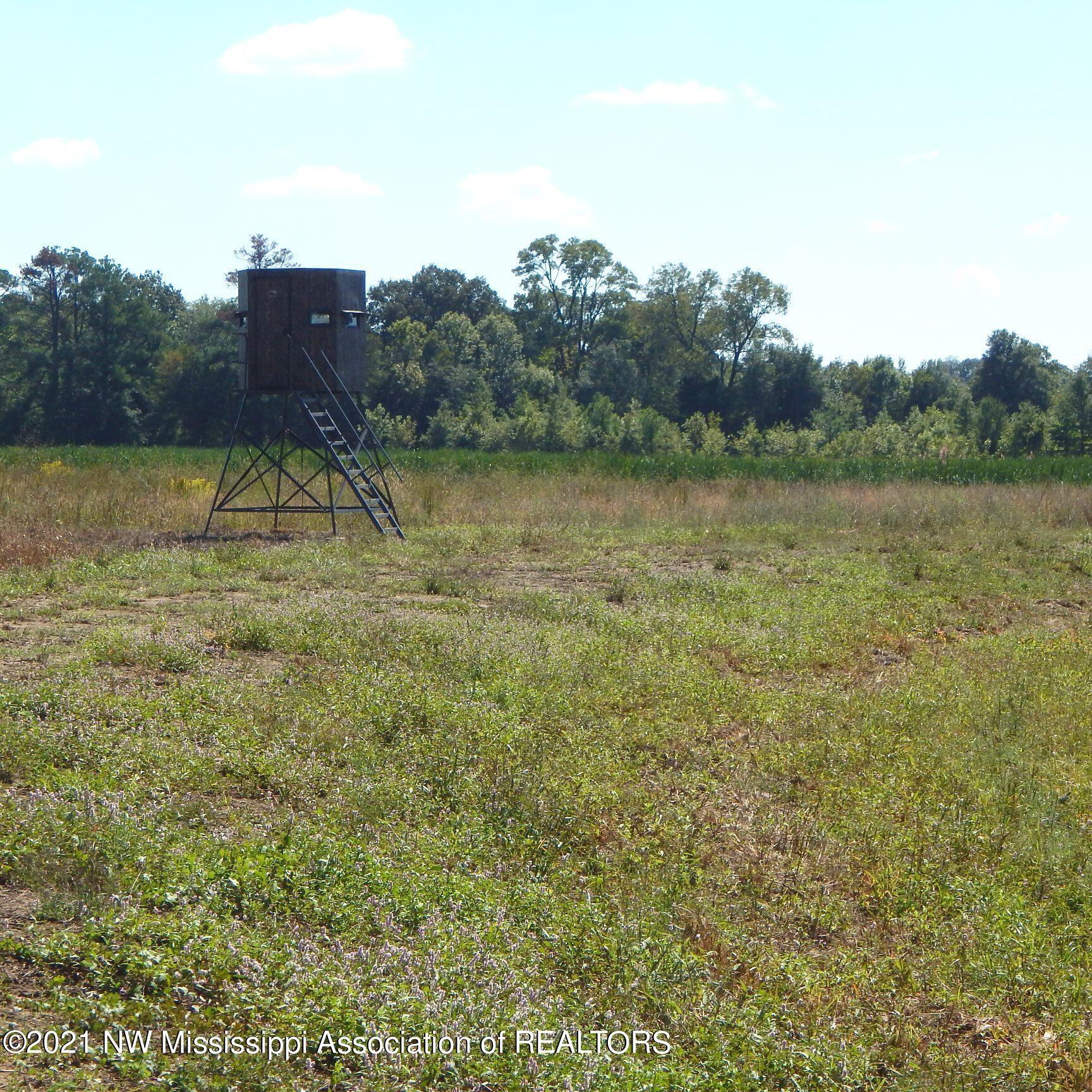 4019 Buford Road Dundee, MS 38626 - Photo 11 of 68 Dubbs 140 010