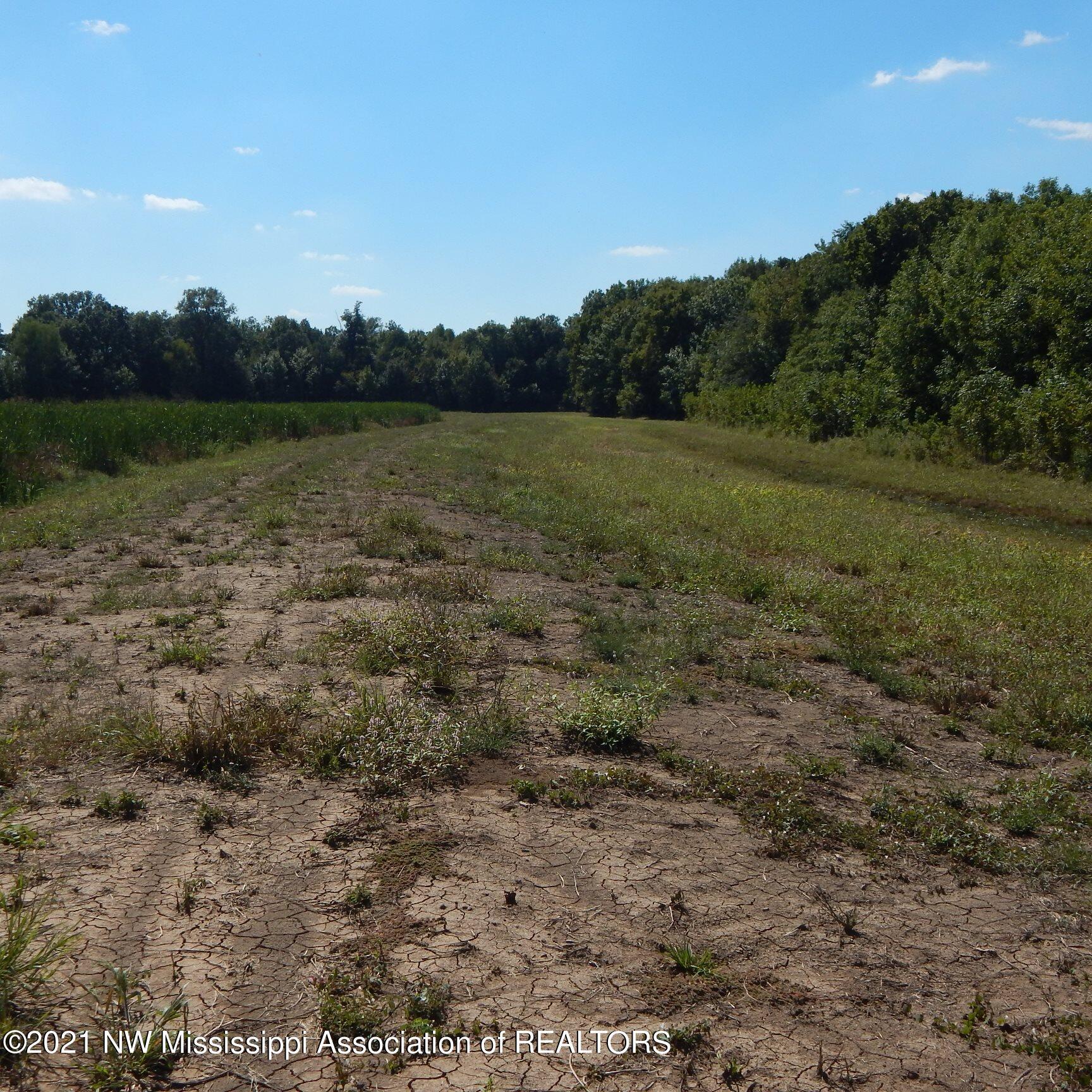 4019 Buford Road Dundee, MS 38626 - Photo 13 of 68 Dubbs 140 012