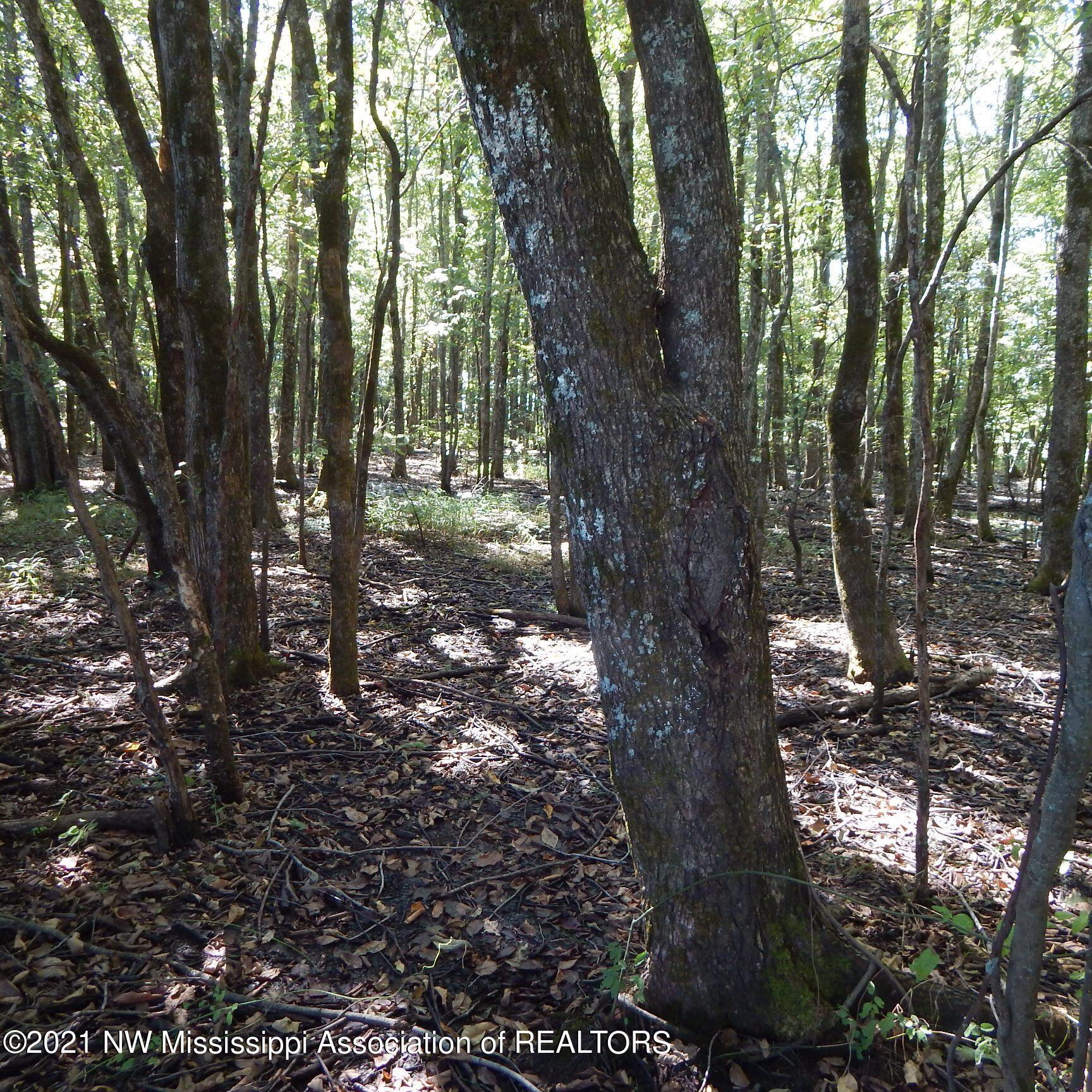 4019 Buford Road Dundee, MS 38626 - Photo 14 of 68 Dubbs 140 013
