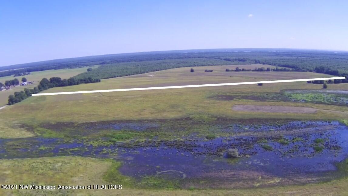 4019 Buford Road Dundee, MS 38626 - Photo 21 of 68 90