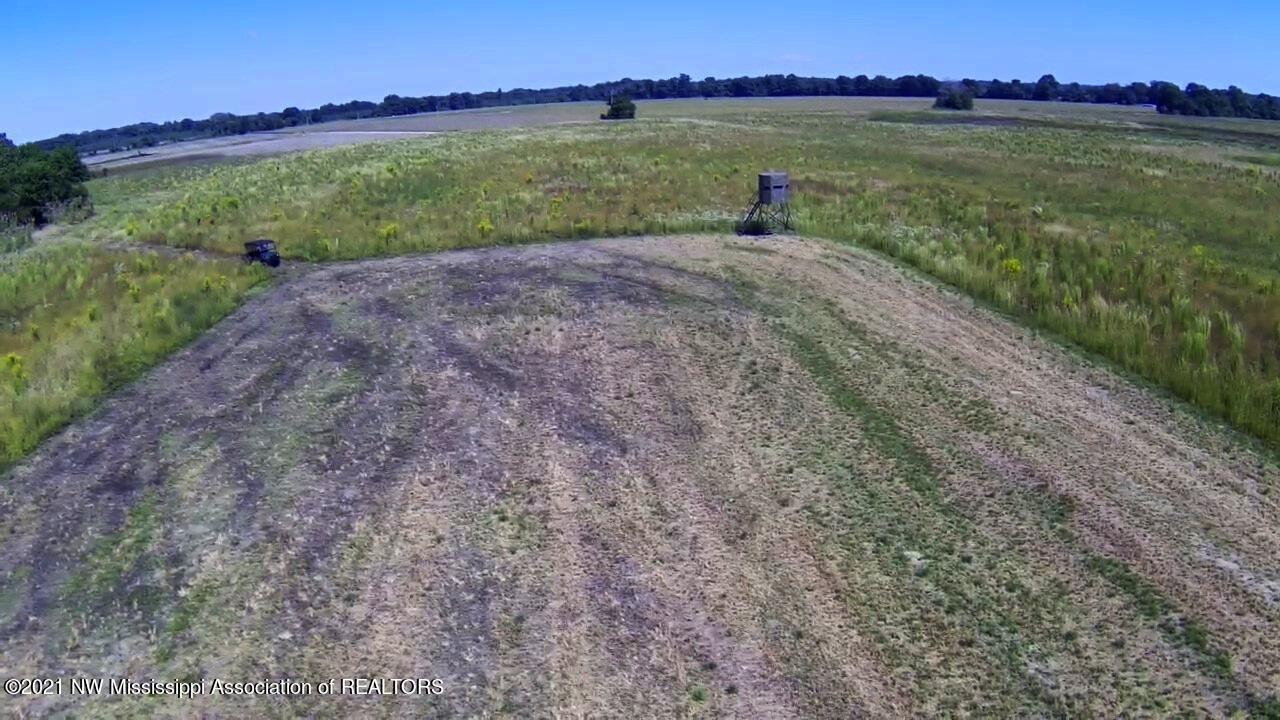 4019 Buford Road Dundee, MS 38626 - Photo 26 of 68 Dubbs 140 024