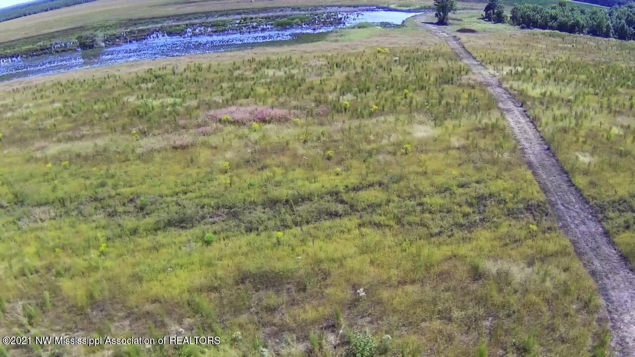 4019 Buford Road Dundee, MS 38626 - Photo 27 of 68 Dubbs 140 029