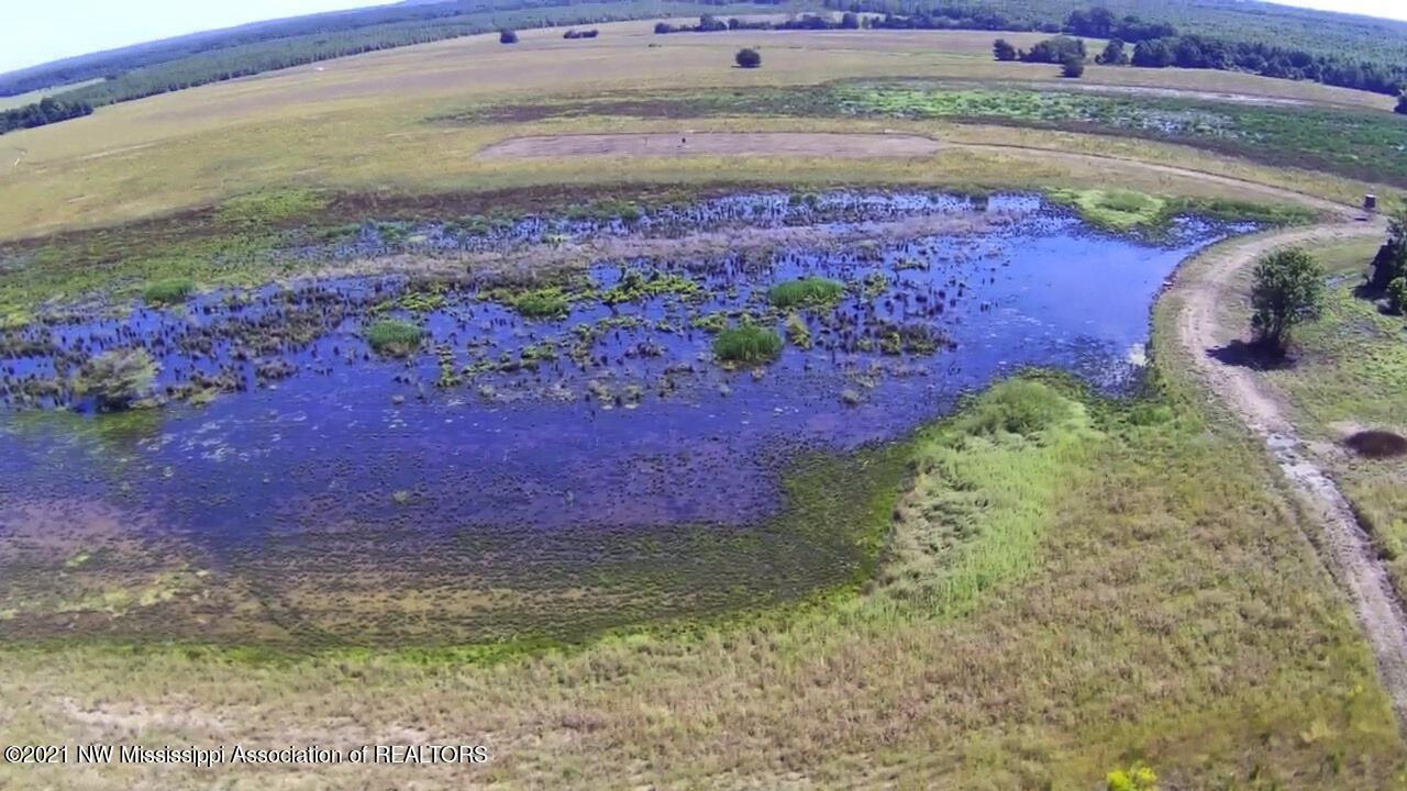 4019 Buford Road Dundee, MS 38626 - Photo 29 of 68 Dubbs 140 035