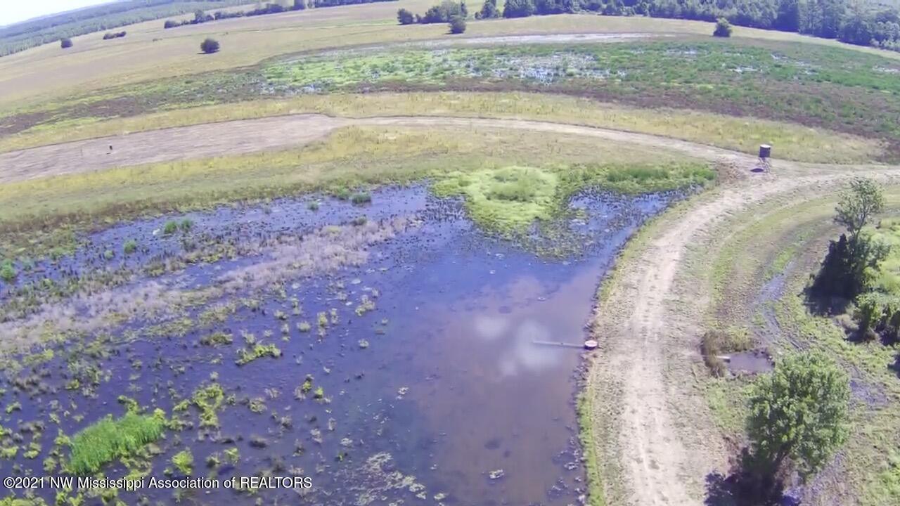 4019 Buford Road Dundee, MS 38626 - Photo 31 of 68 Dubbs 140 039