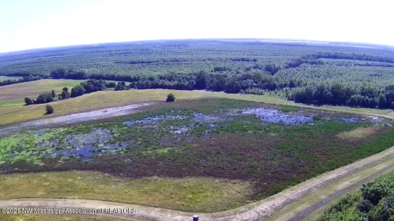 4019 Buford Road Dundee, MS 38626 - Photo 36 of 68 Dubbs 140 052