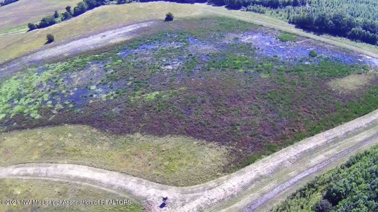4019 Buford Road Dundee, MS 38626 - Photo 38 of 68 Dubbs 140 063