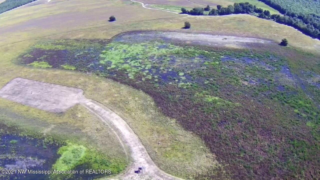 4019 Buford Road Dundee, MS 38626 - Photo 42 of 68 Dubbs 140 075
