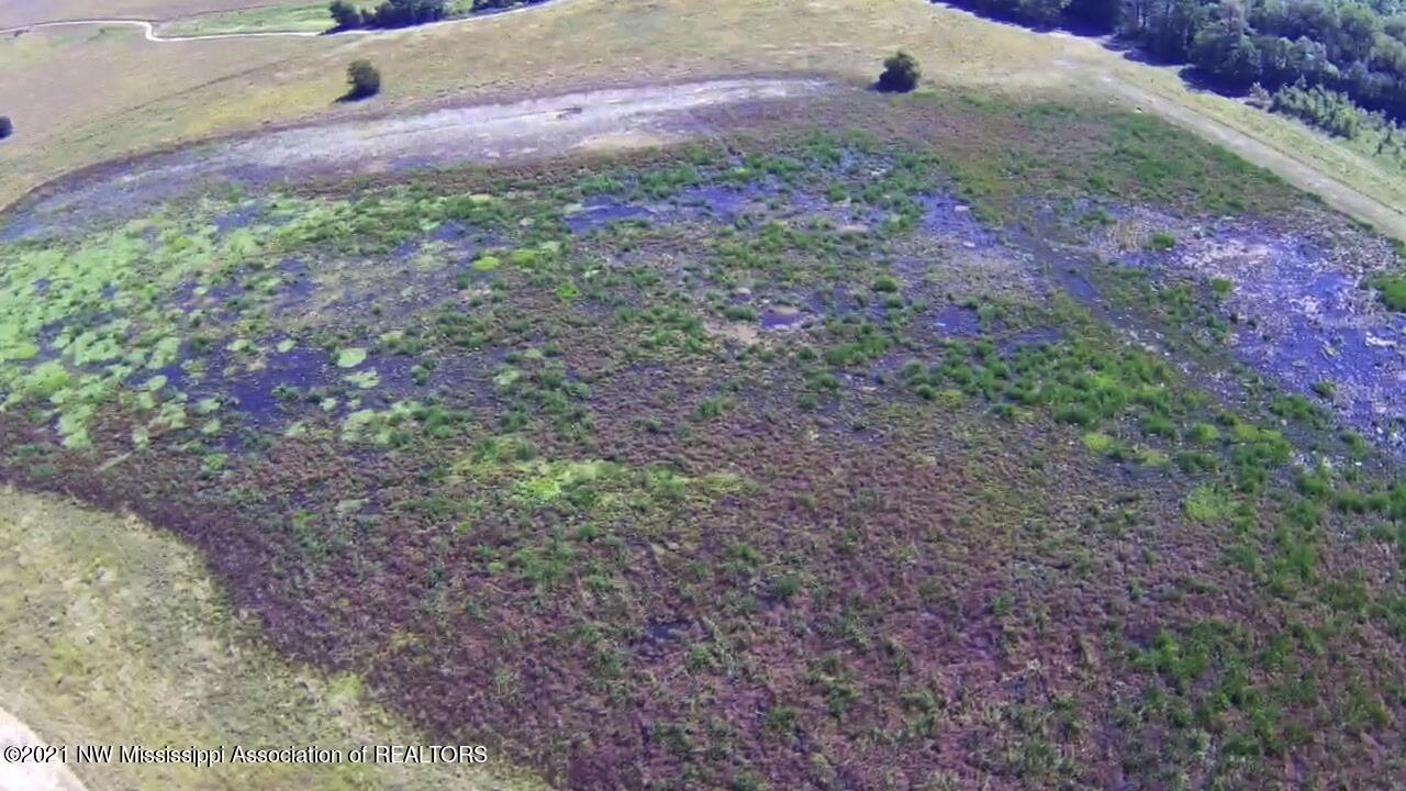4019 Buford Road Dundee, MS 38626 - Photo 43 of 68 Dubbs 140 076