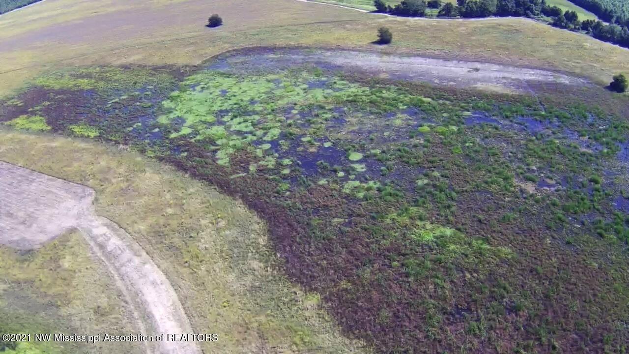 4019 Buford Road Dundee, MS 38626 - Photo 44 of 68 Dubbs 140 081