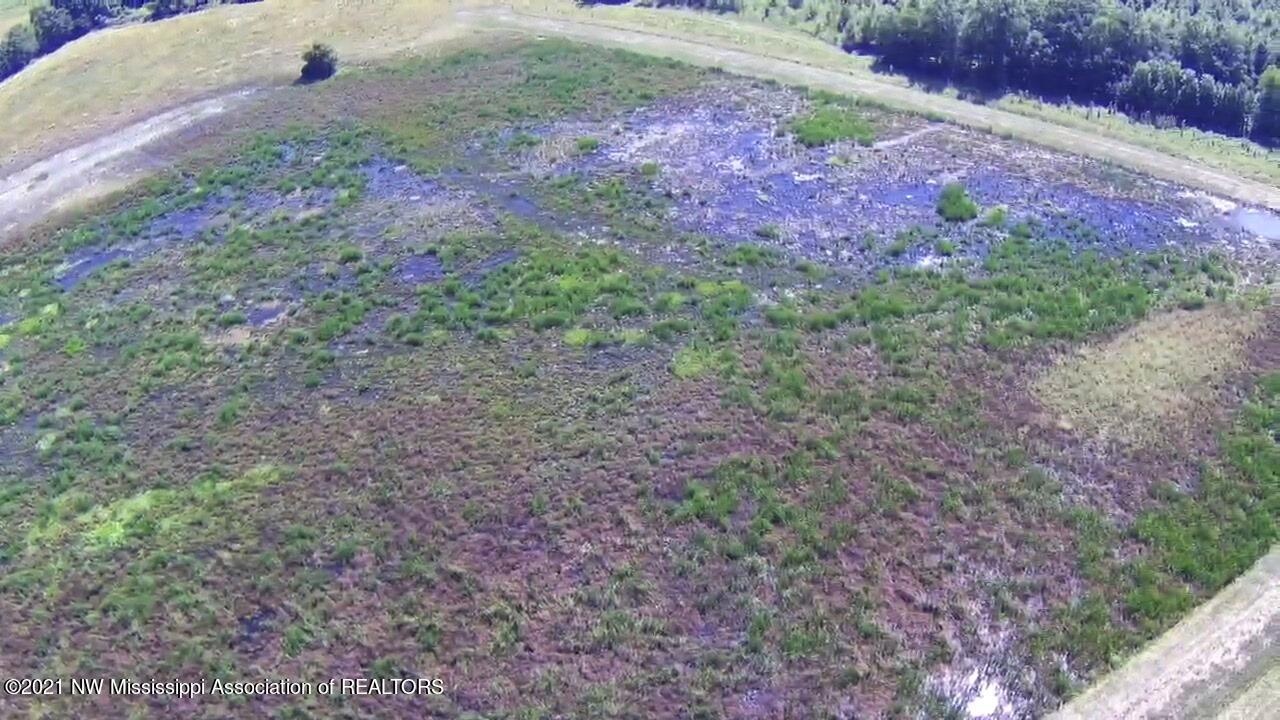 4019 Buford Road Dundee, MS 38626 - Photo 45 of 68 Dubbs 140 083