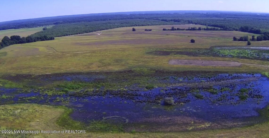 4019 Buford Road Dundee, MS 38626 - Photo 47 of 68 Dubbs 140 087