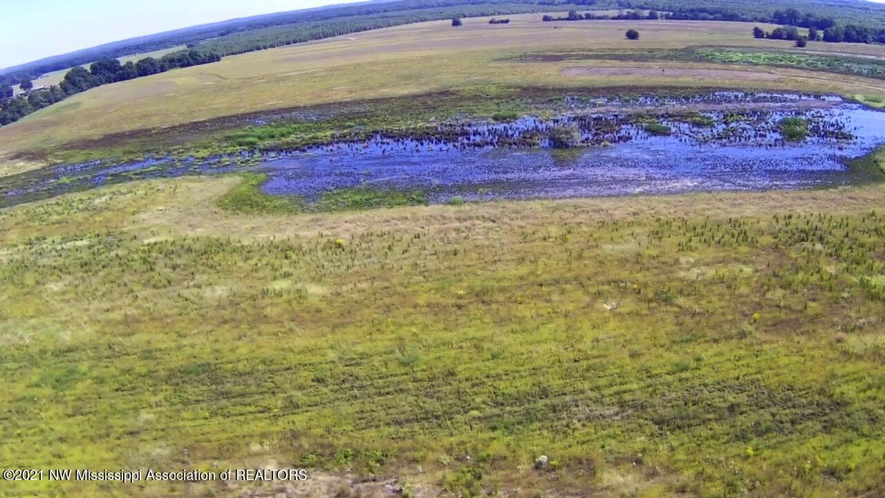 4019 Buford Road Dundee, MS 38626 - Photo 49 of 68 Dubbs 140 093