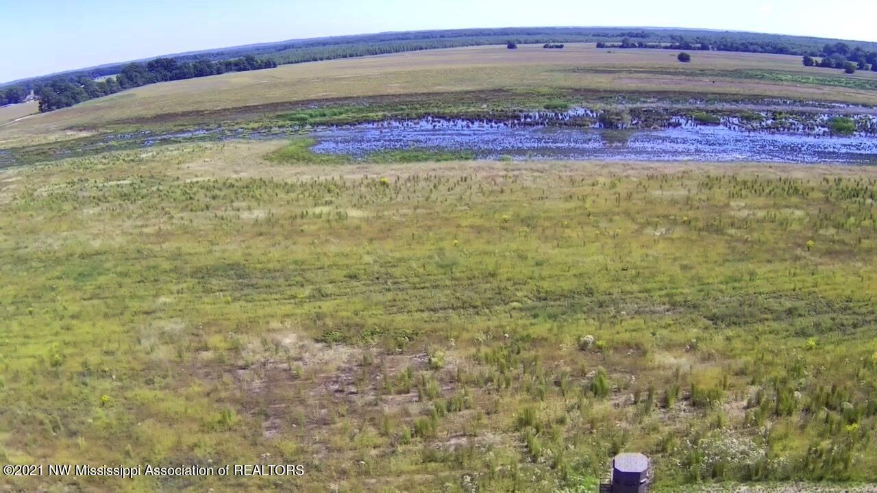 4019 Buford Road Dundee, MS 38626 - Photo 50 of 68 Dubbs 140 094