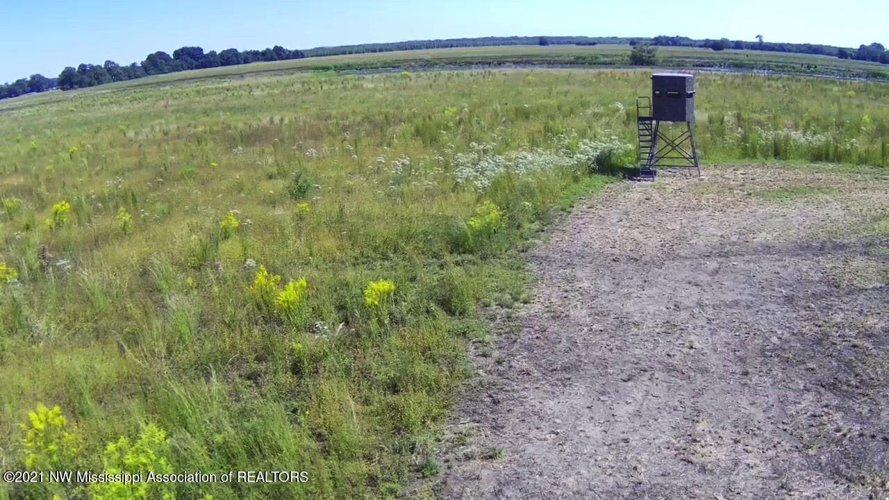 4019 Buford Road Dundee, MS 38626 - Photo 51 of 68 Dubbs 140 100
