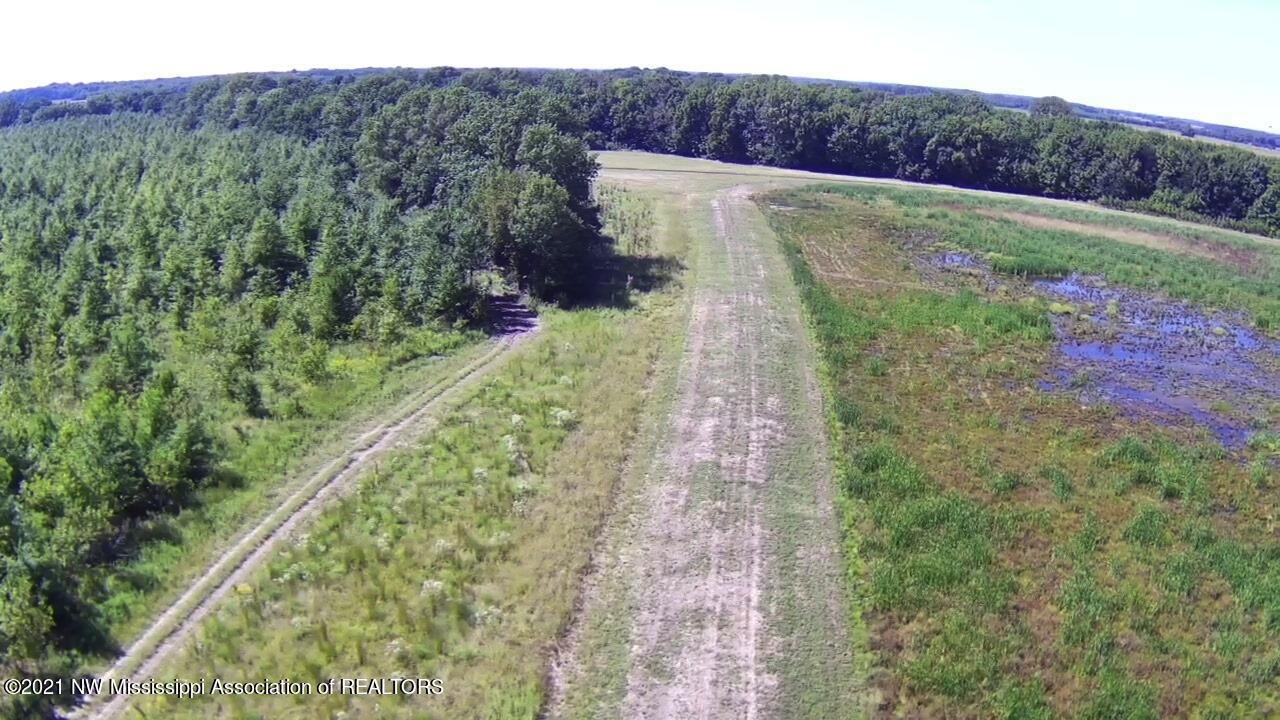 4019 Buford Road Dundee, MS 38626 - Photo 52 of 68 Dubbs 140 103