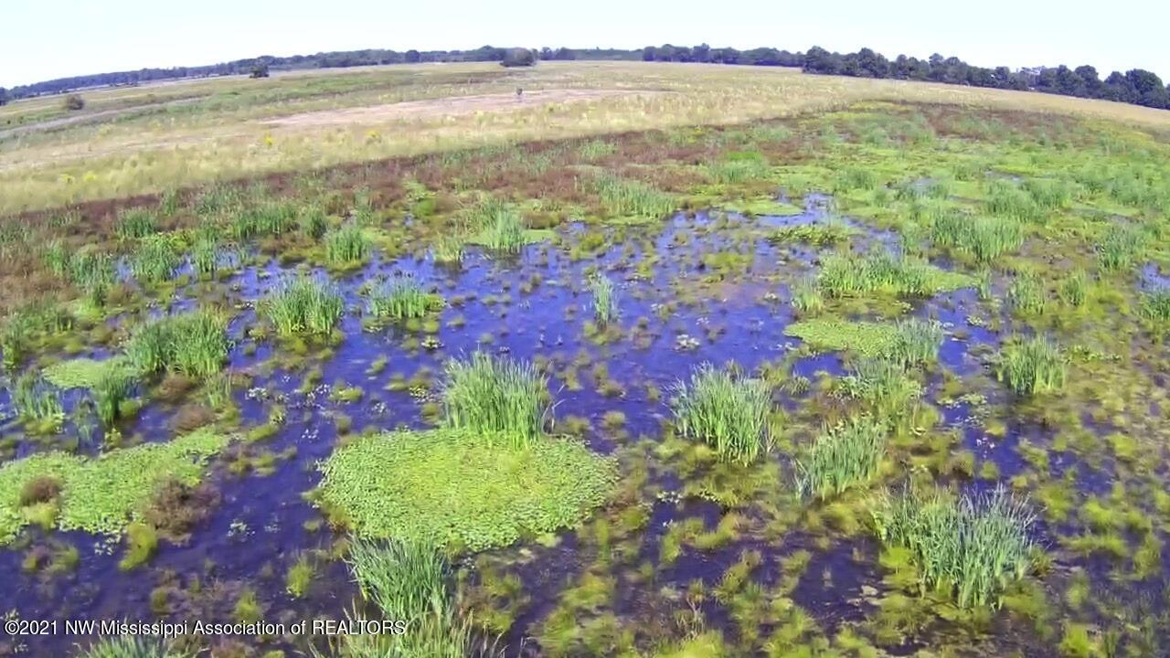 4019 Buford Road Dundee, MS 38626 - Photo 53 of 68 Dubbs 140 107
