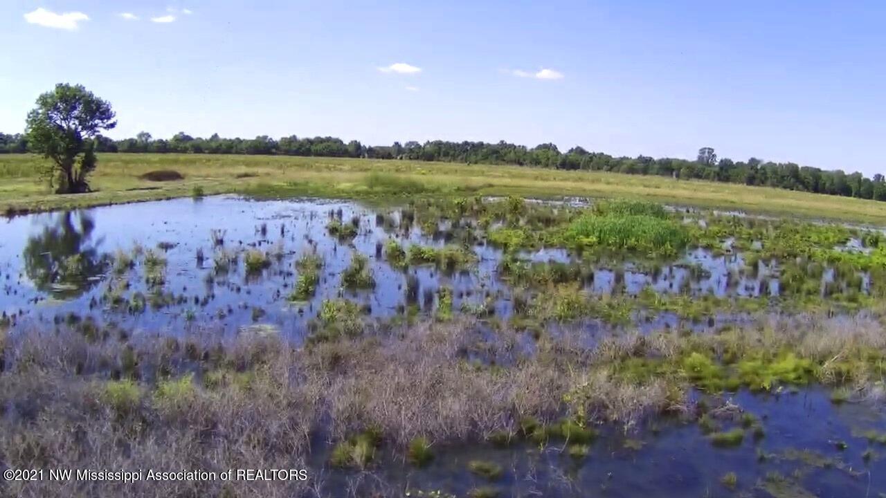 4019 Buford Road Dundee, MS 38626 - Photo 54 of 68 Dubbs 140 112