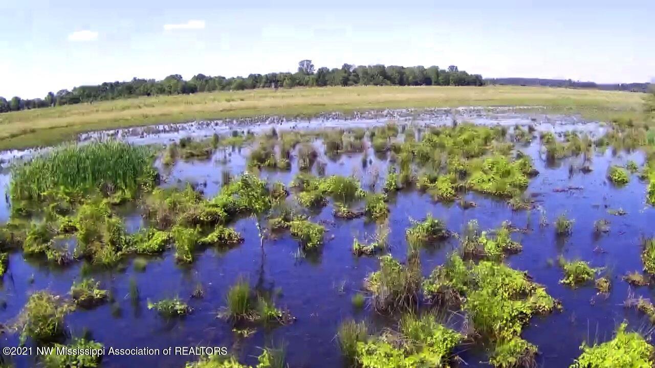 4019 Buford Road Dundee, MS 38626 - Photo 55 of 68 Dubbs 140 115