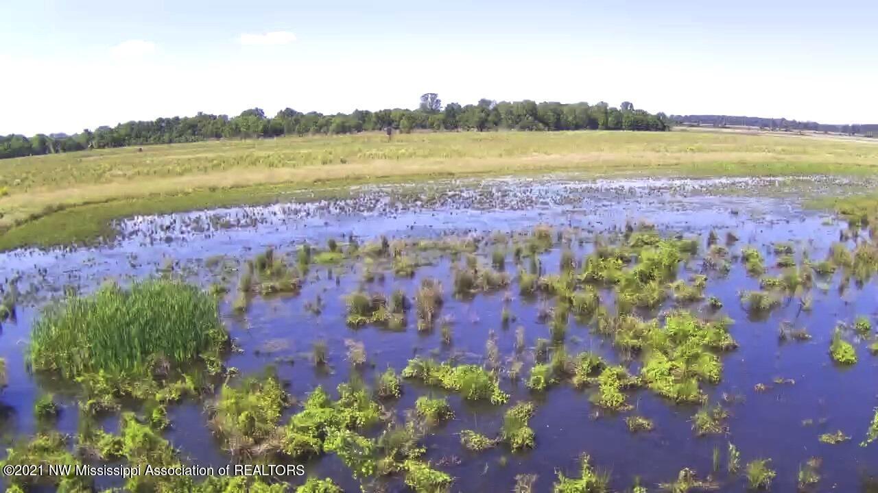 4019 Buford Road Dundee, MS 38626 - Photo 56 of 68 Dubbs 140 116