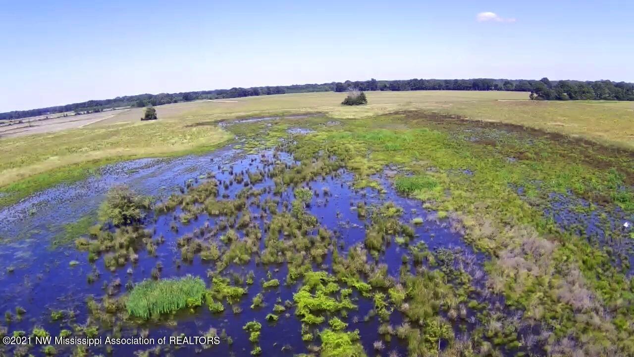 4019 Buford Road Dundee, MS 38626 - Photo 58 of 68 Dubbs 140 128