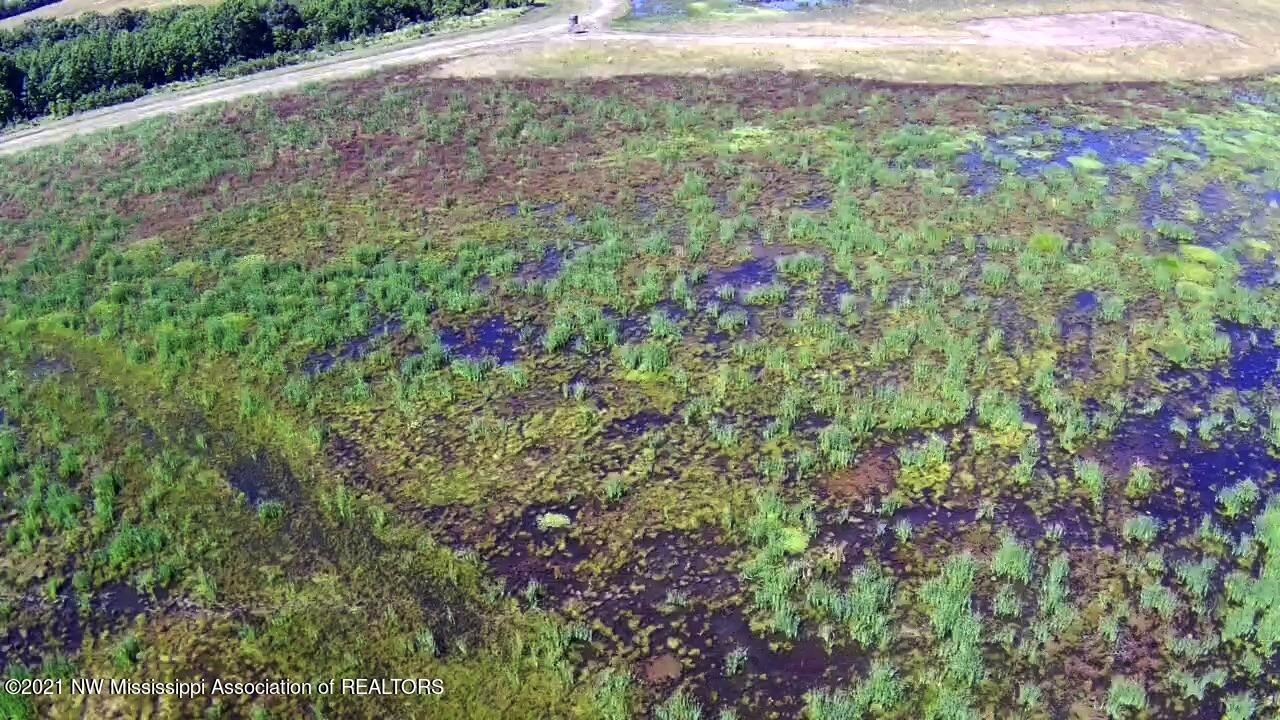 4019 Buford Road Dundee, MS 38626 - Photo 60 of 68 Dubbs 140 137