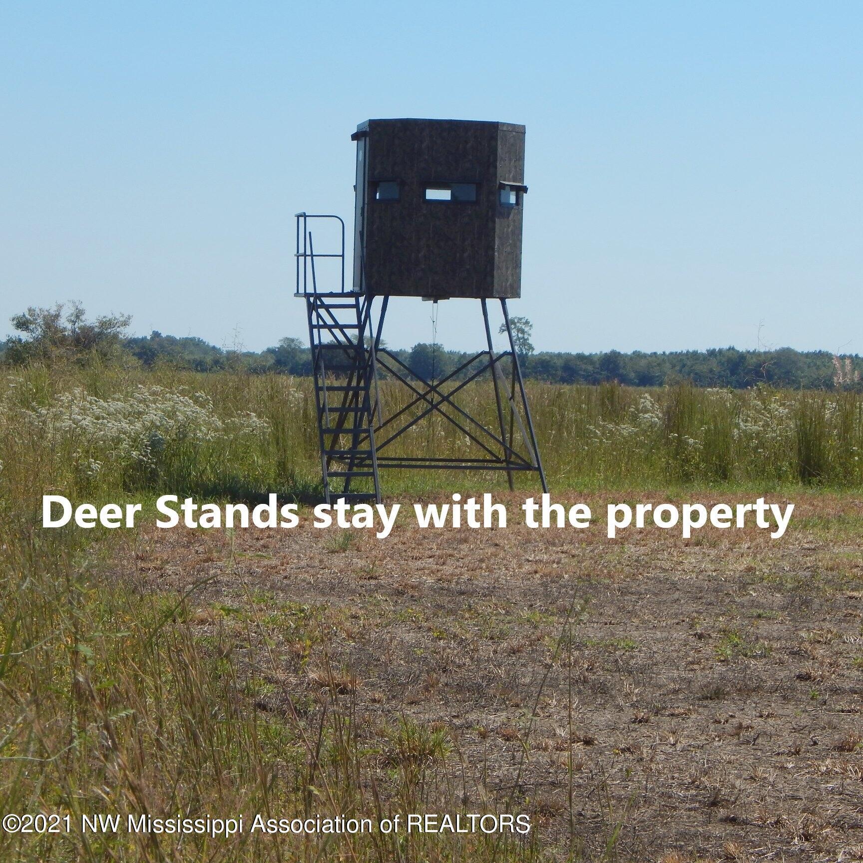 4019 Buford Road Dundee, MS 38626 - Photo 6 of 68 Dubbs 140 004