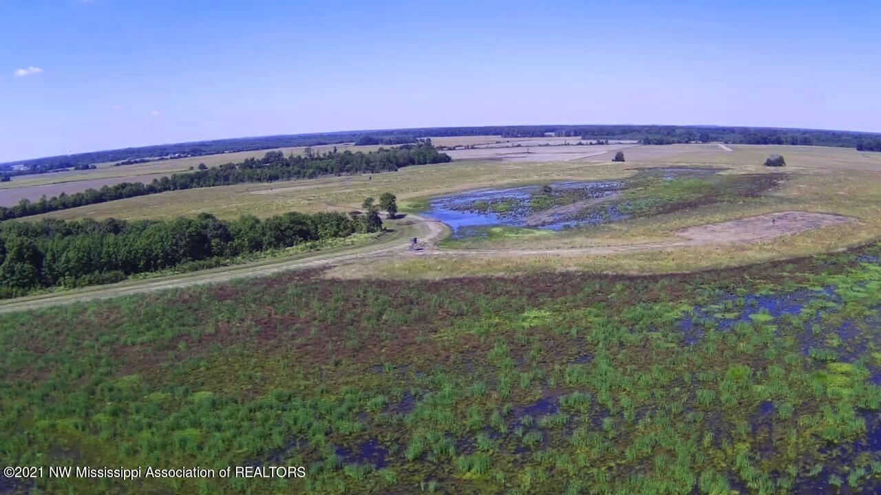 4019 Buford Road Dundee, MS 38626 - Photo 61 of 68 Dubbs 140 139