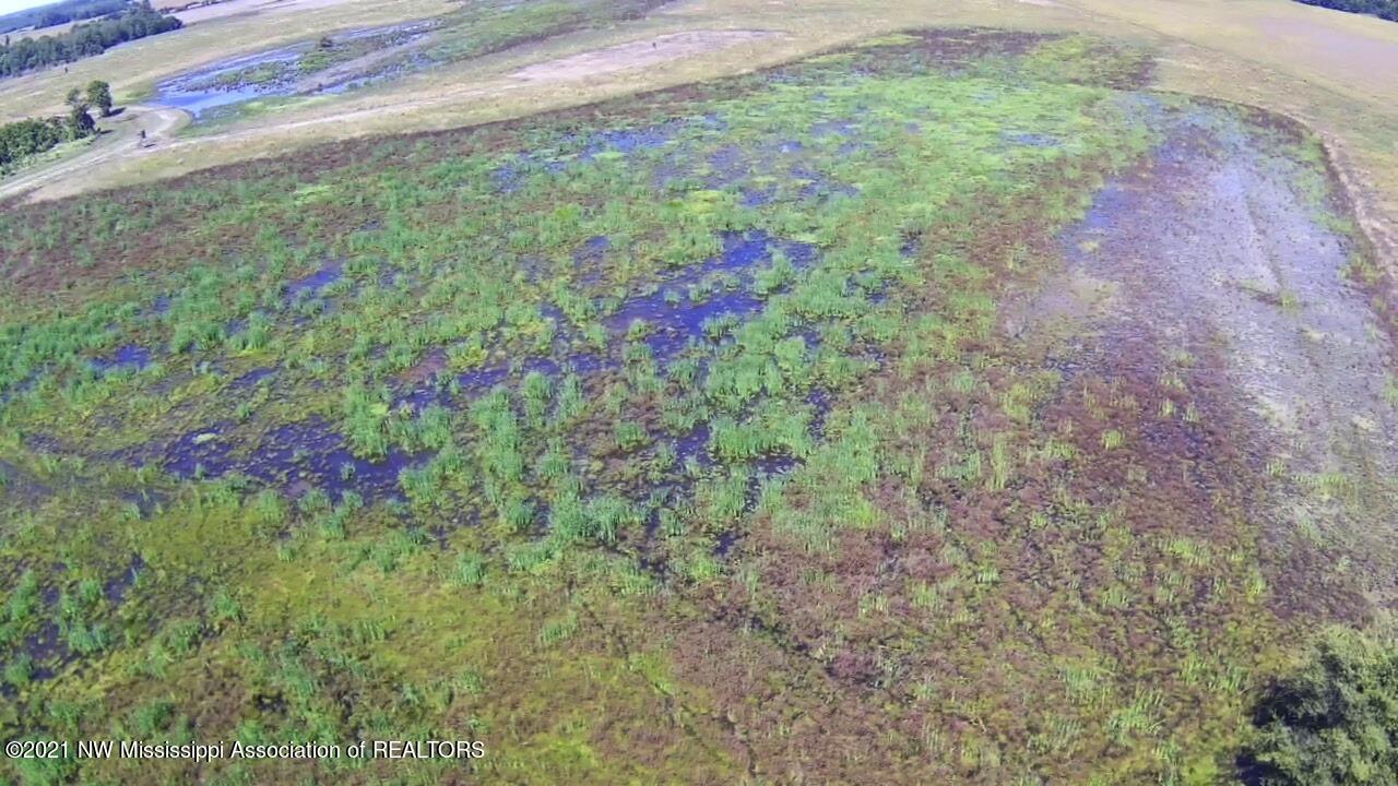 4019 Buford Road Dundee, MS 38626 - Photo 62 of 68 Dubbs 140 142