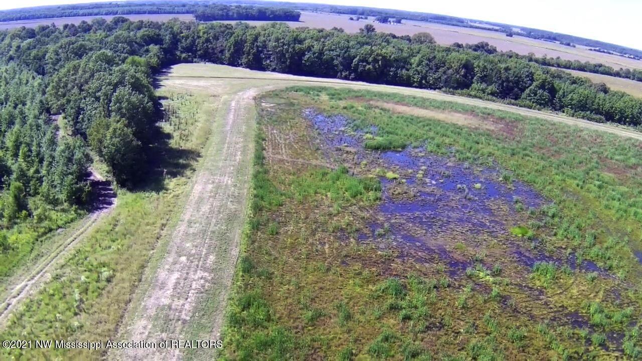 4019 Buford Road Dundee, MS 38626 - Photo 63 of 68 Dubbs 140 146