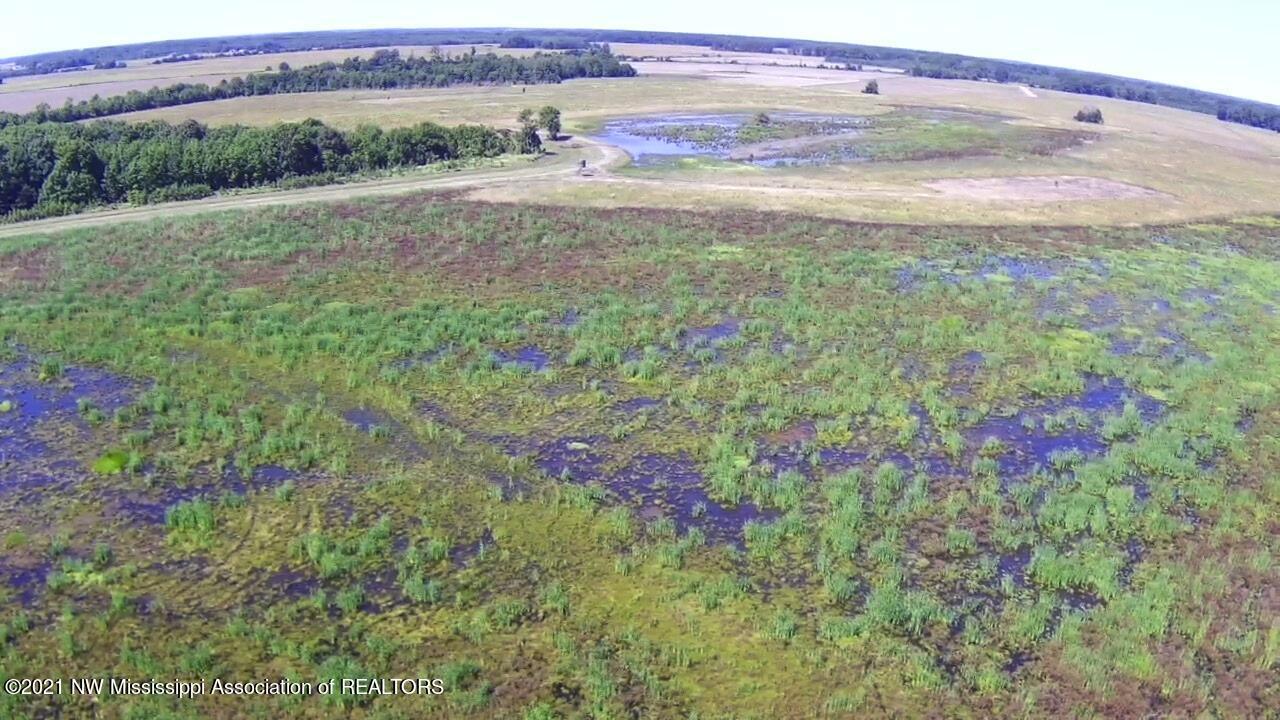 4019 Buford Road Dundee, MS 38626 - Photo 64 of 68 Dubbs 140 151