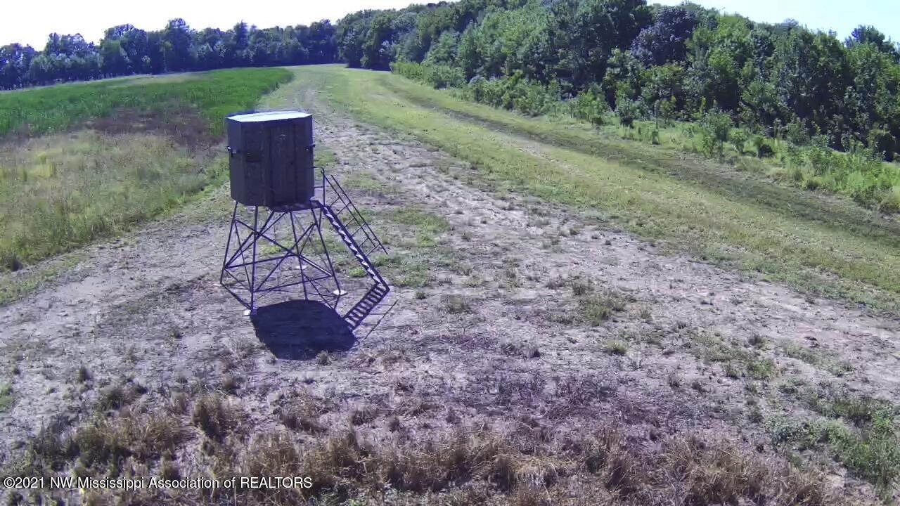 4019 Buford Road Dundee, MS 38626 - Photo 65 of 68 Dubbs 140 154