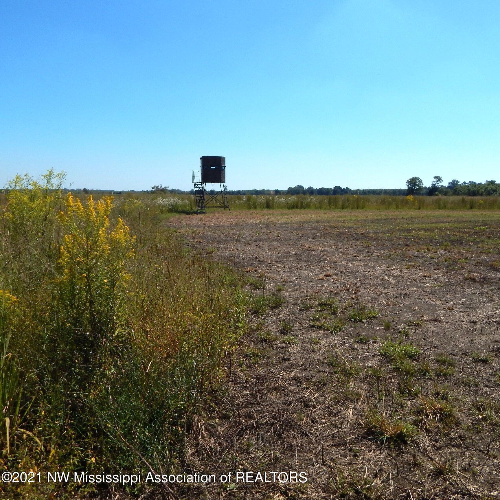 4019 Buford Road Dundee, MS 38626 - Photo 8 of 68 Dubbs 140 006