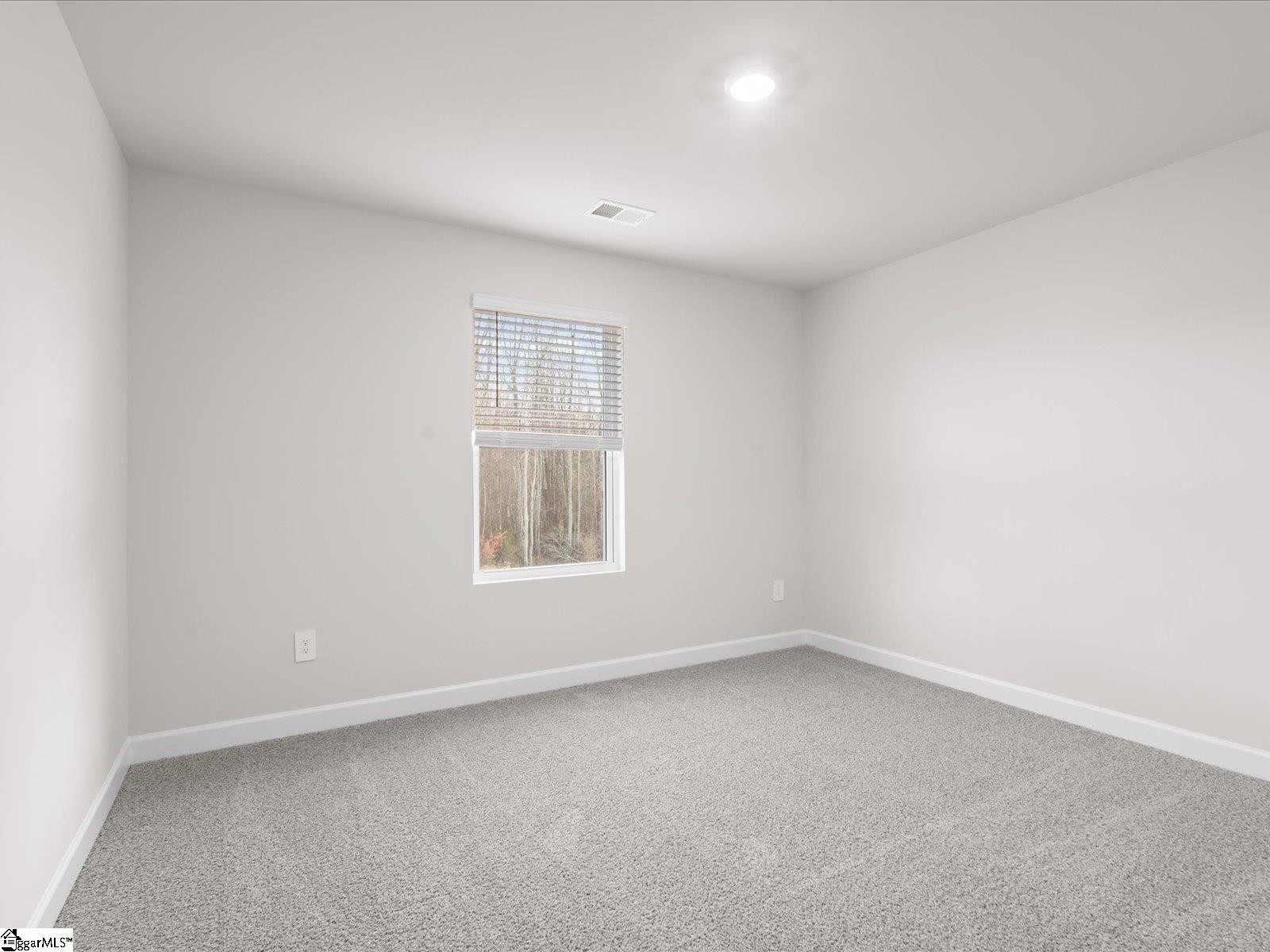 517 Hazelcroft Drive Fountain Inn, SC 29644 - Photo 34 of 36 Gallery Image 34