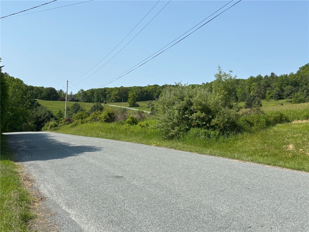 215 Kautz Road Delaware, NY 12723 - Photo 28 of 32 Street view: fields across the road