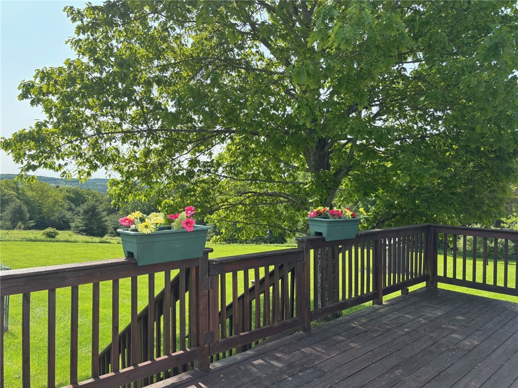 215 Kautz Road Delaware, NY 12723 - Photo 3 of 32 back deck and yard to the left