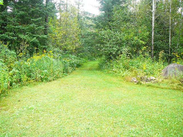 89602 Cth F Butternut, WI 54514 - Photo 6 of 20 Gallery Image 6