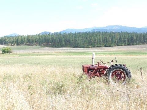 2789 Farm Market Road Chewelah, WA 99109 - Photo 6 of 14 Gallery Image 6