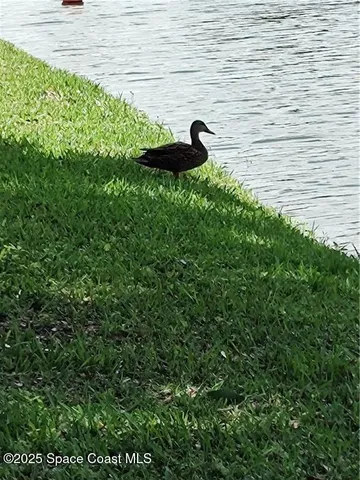 $215,000 | 451 Papaya Circle, Barefoot Bay, FL 32976