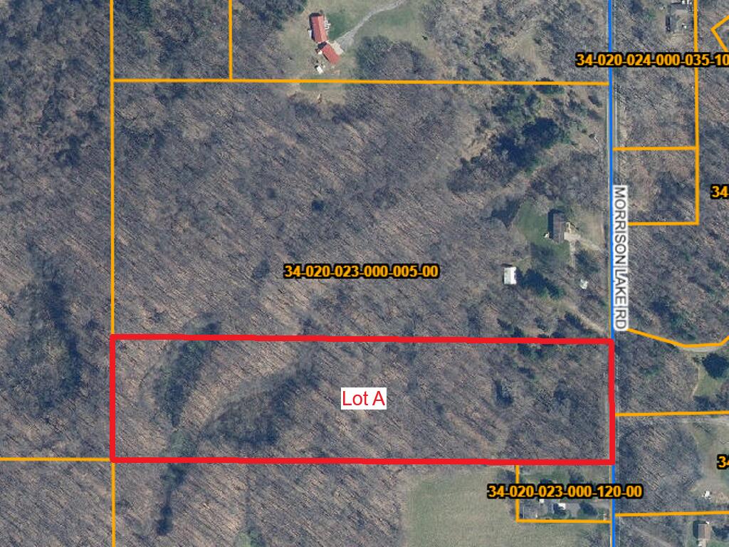 6286 Morrison Lake Road, Unit LOT A Saranac, MI 48881 - Photo 1 of 1 Aerial
