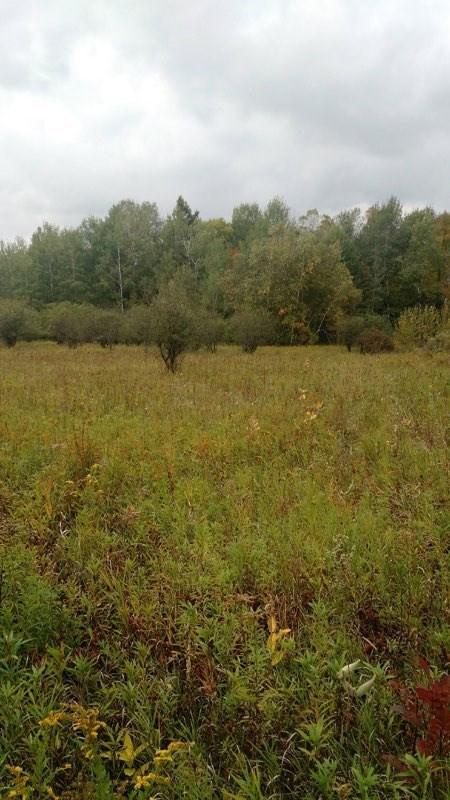 106 Hurley Road Winthrop, NY 13697 - Photo 2 of 6 Gallery Image 2