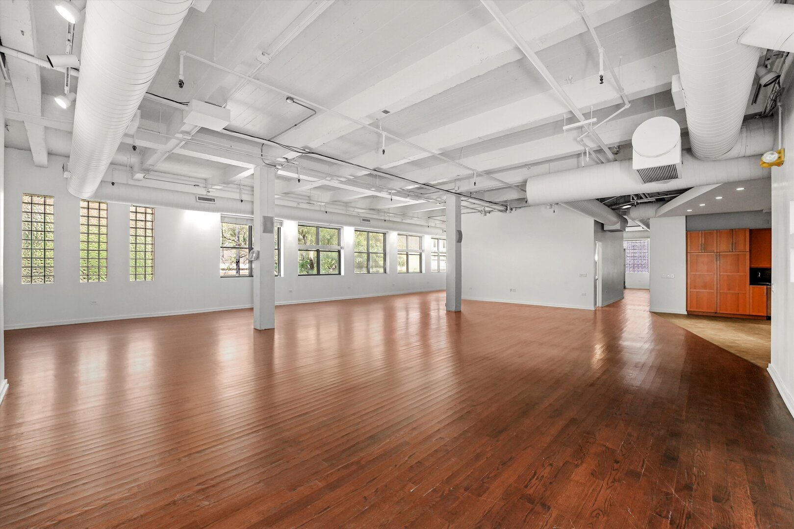 1301 South Wabash Avenue, Unit 1 Chicago, IL 60605 - Photo 2 of 29 a view of a room with lots of wooden floors