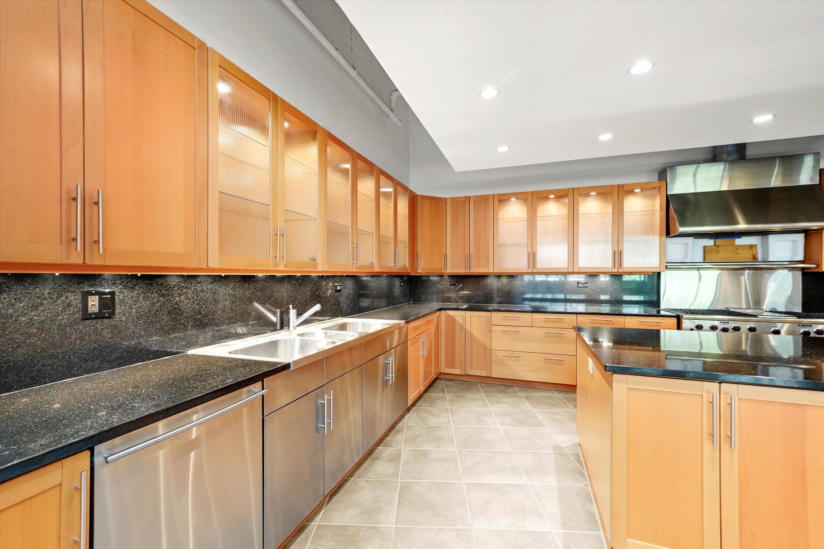 1301 South Wabash Avenue, Unit 1 Chicago, IL 60605 - Photo 7 of 29 a large kitchen with stainless steel appliances granite countertop a sink and cabinets