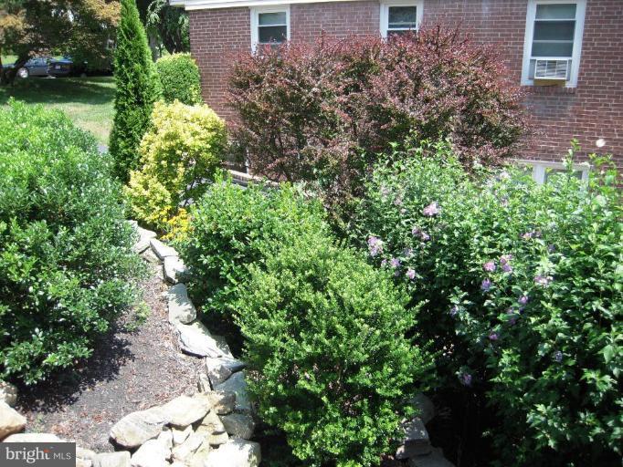 6707 Queens Ferry Road Baltimore, MD 21239 - Photo 21 of 23 a plant view in front of house
