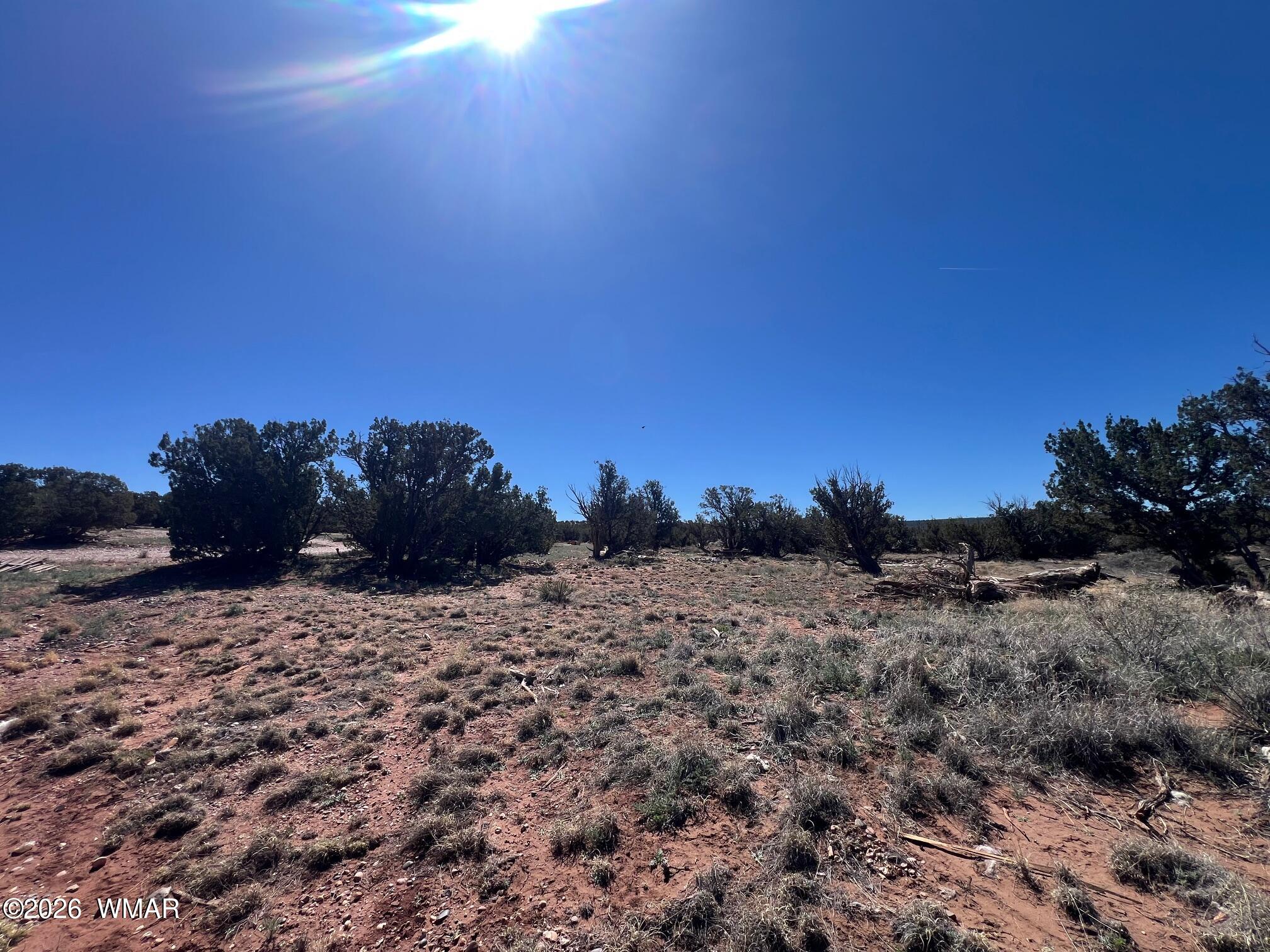 4252 Colt Road Snowflake, AZ 85937 - Photo 12 of 28