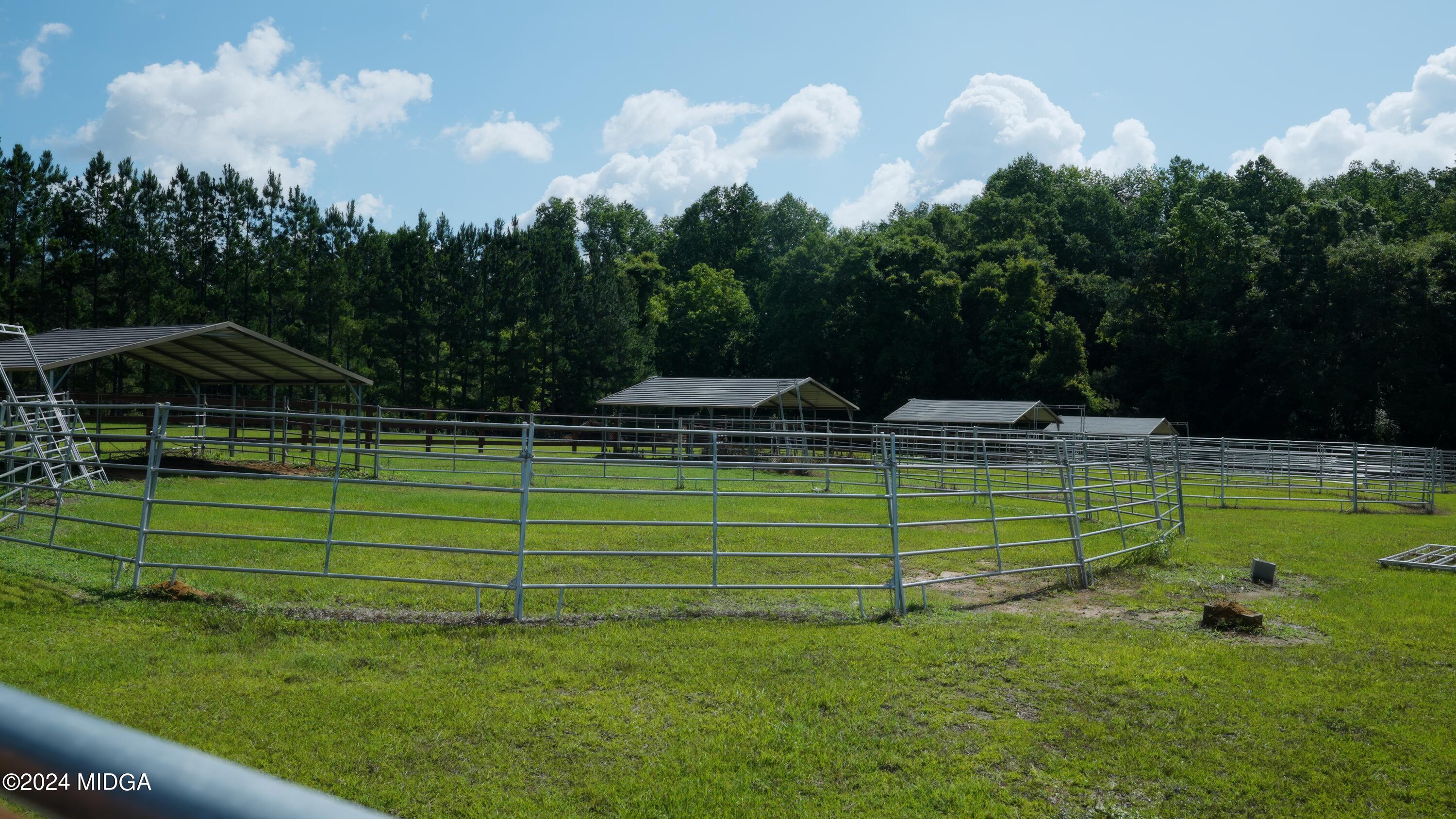 142 Fuller Road Hawkinsville, GA 31036 - Photo 11 of 93 20240515 - Lee Pickard -142 Fuller Rd. H