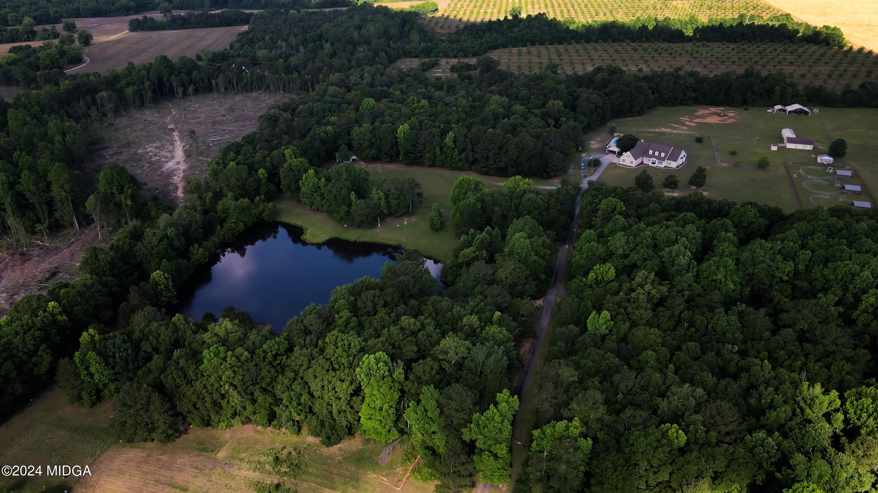 142 Fuller Road Hawkinsville, GA 31036 - Photo 13 of 93 20240515 - Lee Pickard -142 Fuller Rd. H