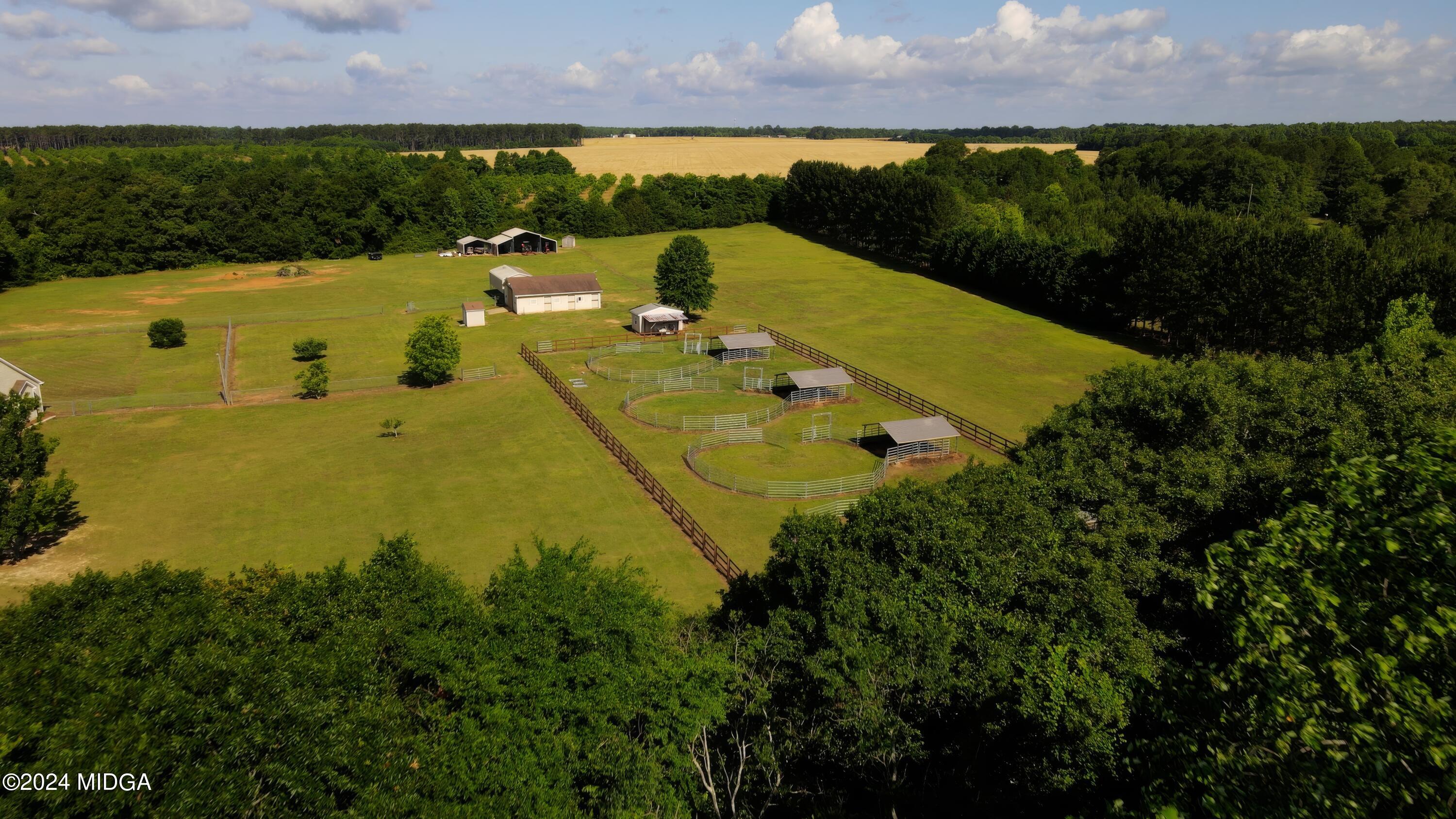 142 Fuller Road Hawkinsville, GA 31036 - Photo 4 of 93 20240515 - Lee Pickard -142 Fuller Rd. H