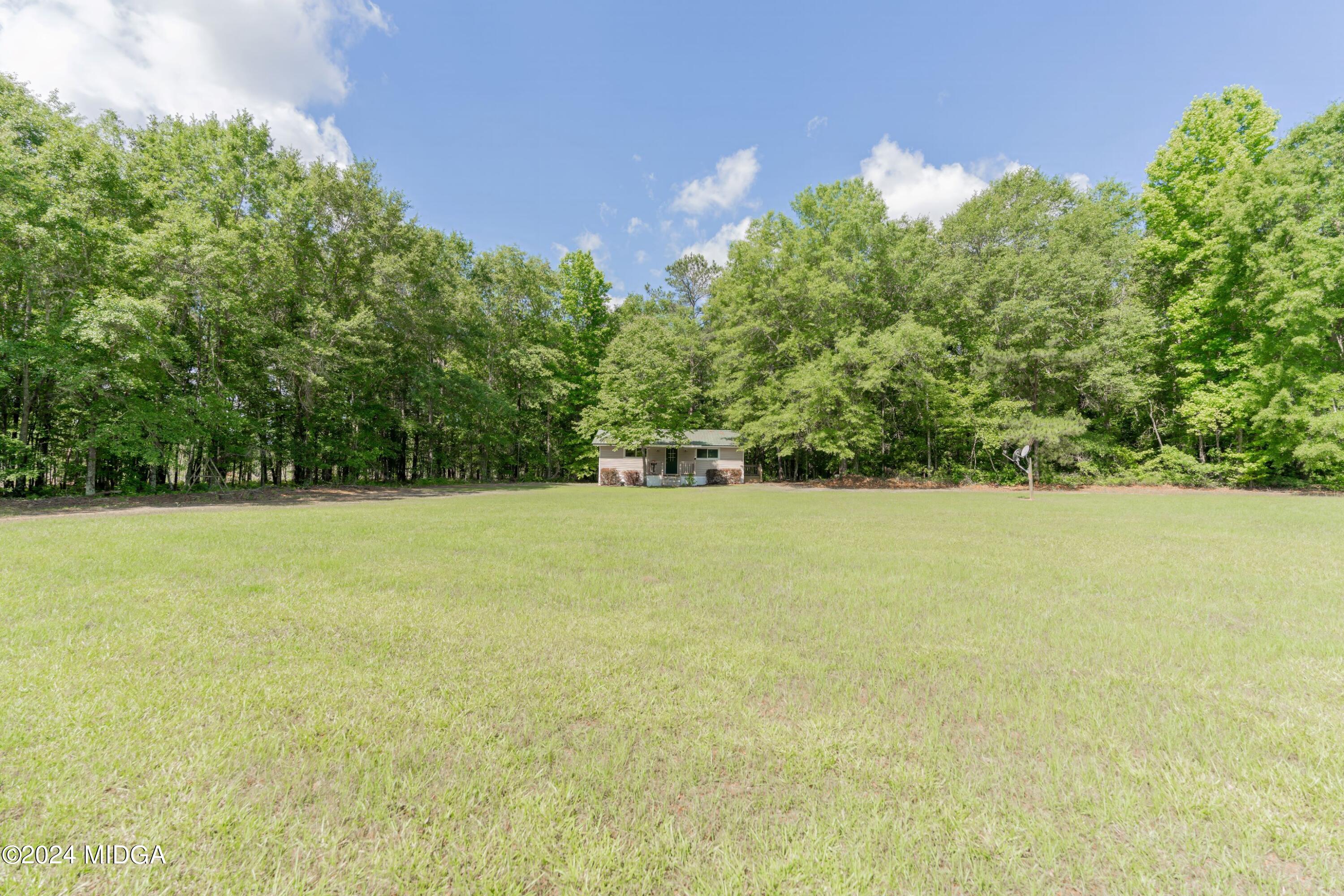 142 Fuller Road Hawkinsville, GA 31036 - Photo 87 of 93 A7R06902-UMH-denoise