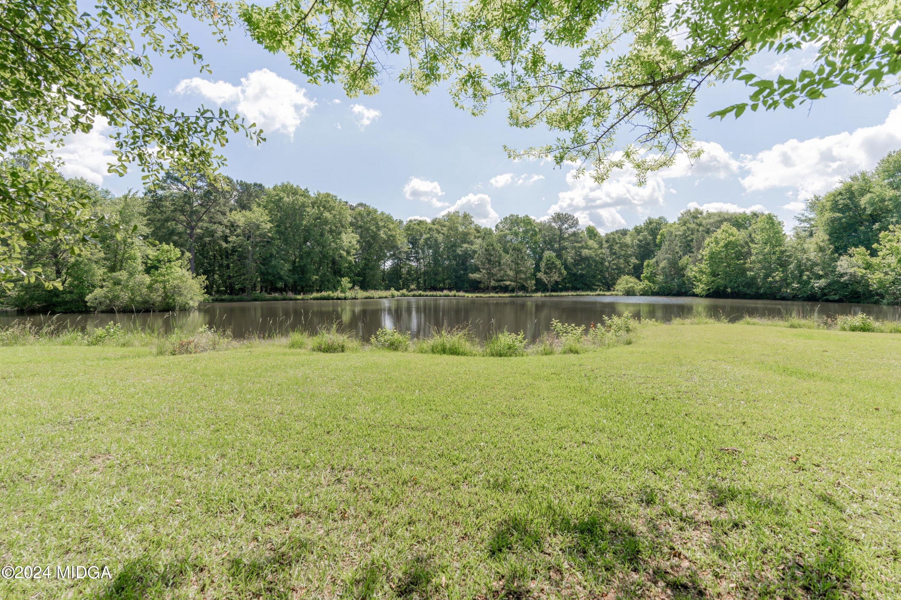 142 Fuller Road Hawkinsville, GA 31036 - Photo 88 of 93 A7R06904-UMH-denoise