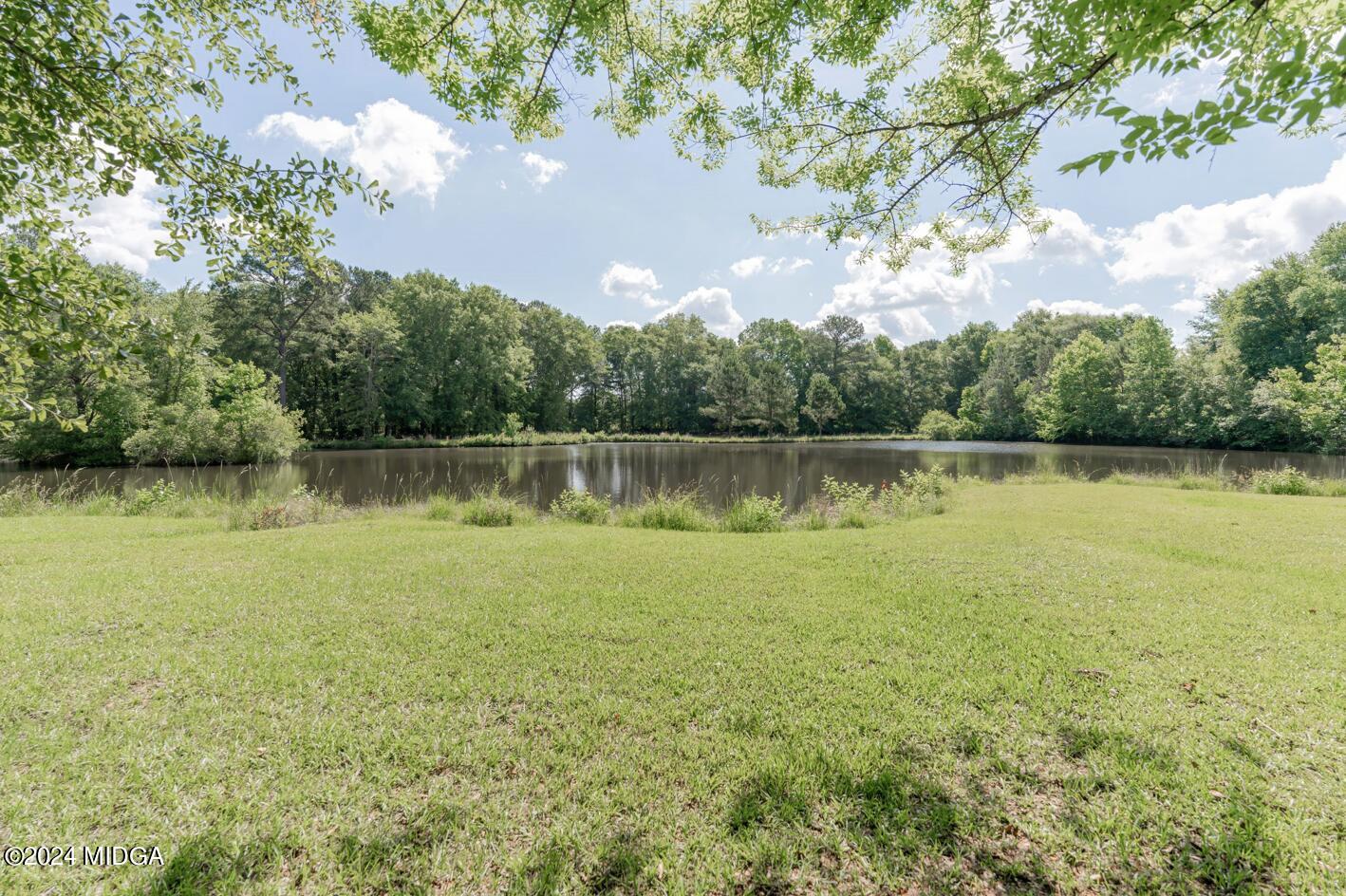 142 Fuller Road Hawkinsville, GA 31036 - Photo 91 of 93 pond